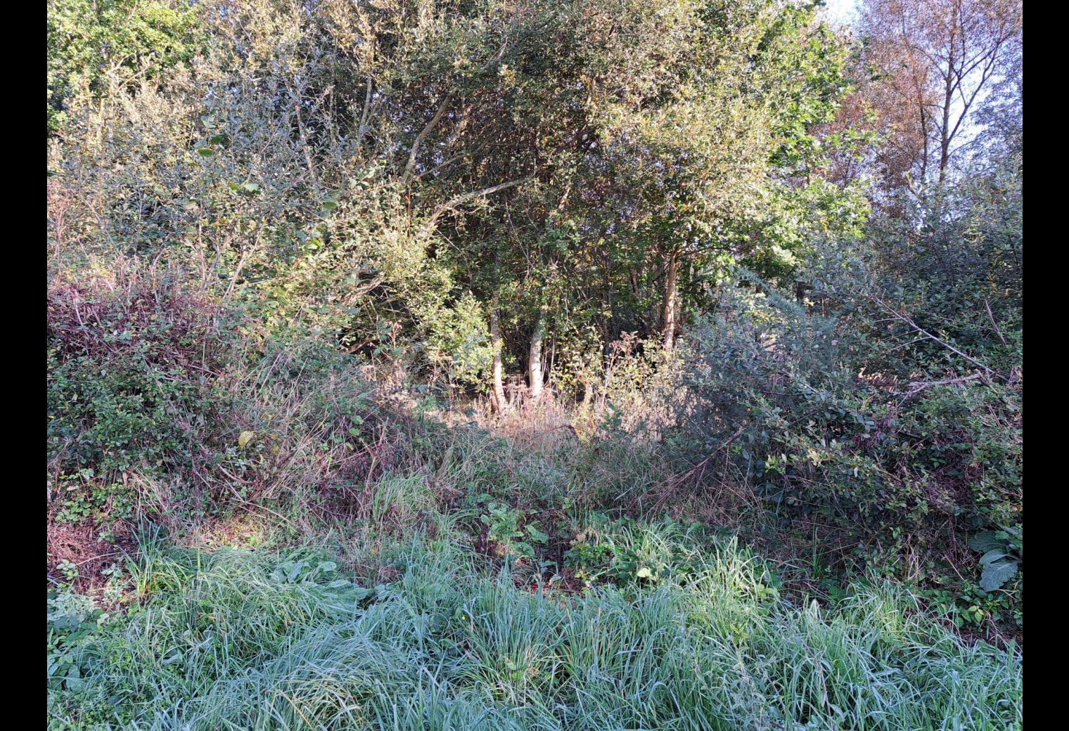 ca071a96-ecd7-4964-8ccf-1a6cd88e4df8.jpg