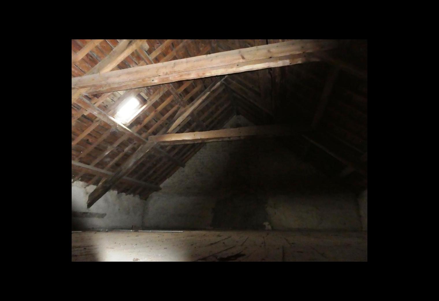 623b6785-8091-49b4-8250-3380b7610246.jpg