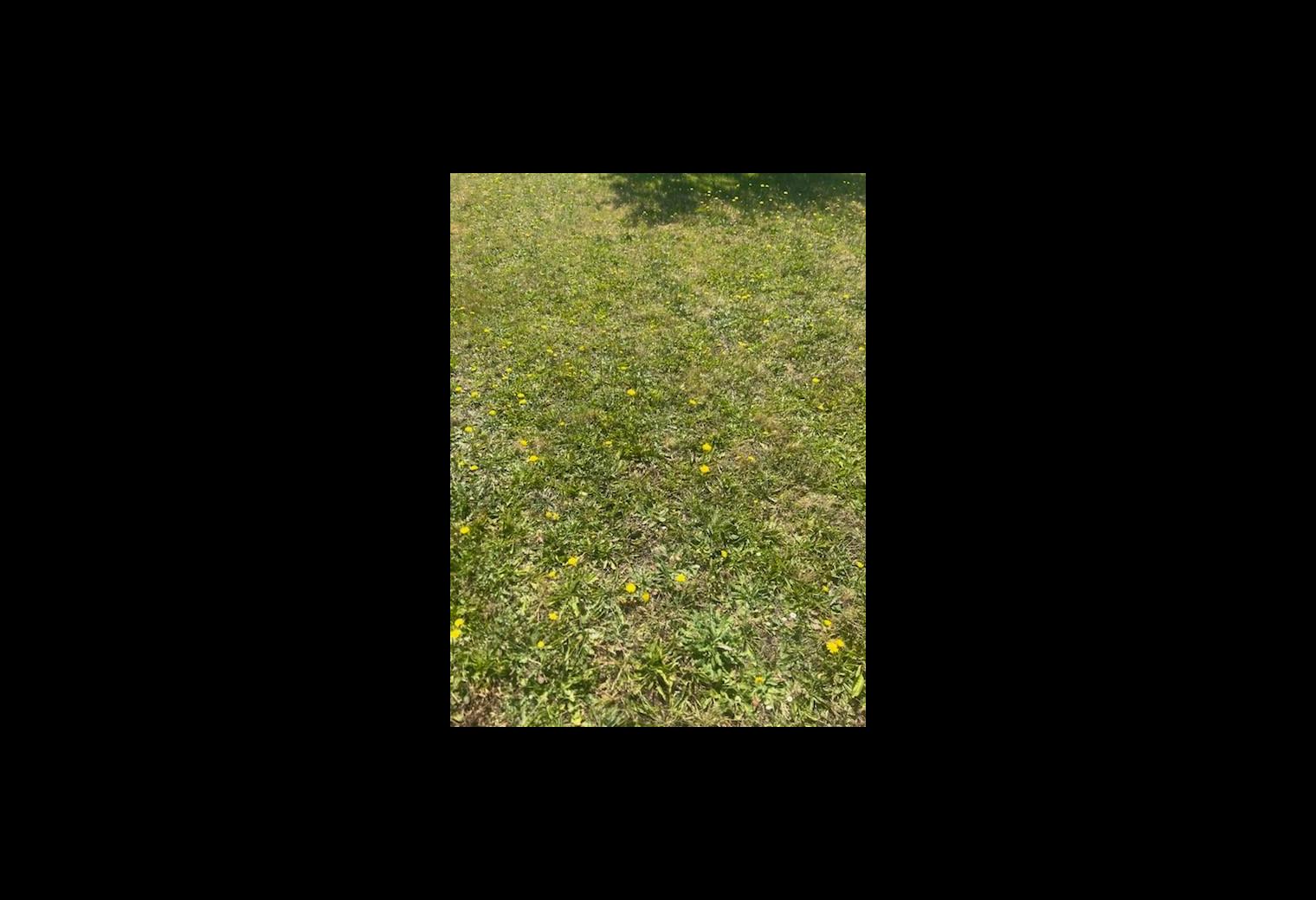 5f34941d-dbe2-4d84-8114-42ab4b6919d8.jpg