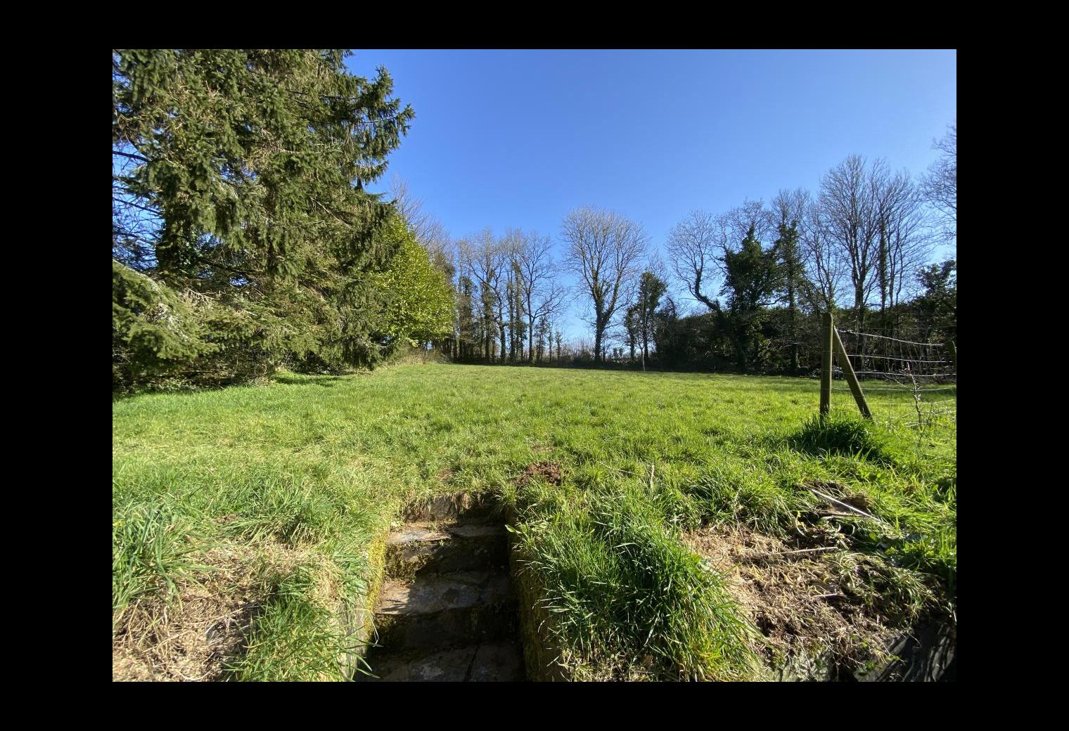 27001b76-2dbd-440e-bc77-87ff506f2577.jpg