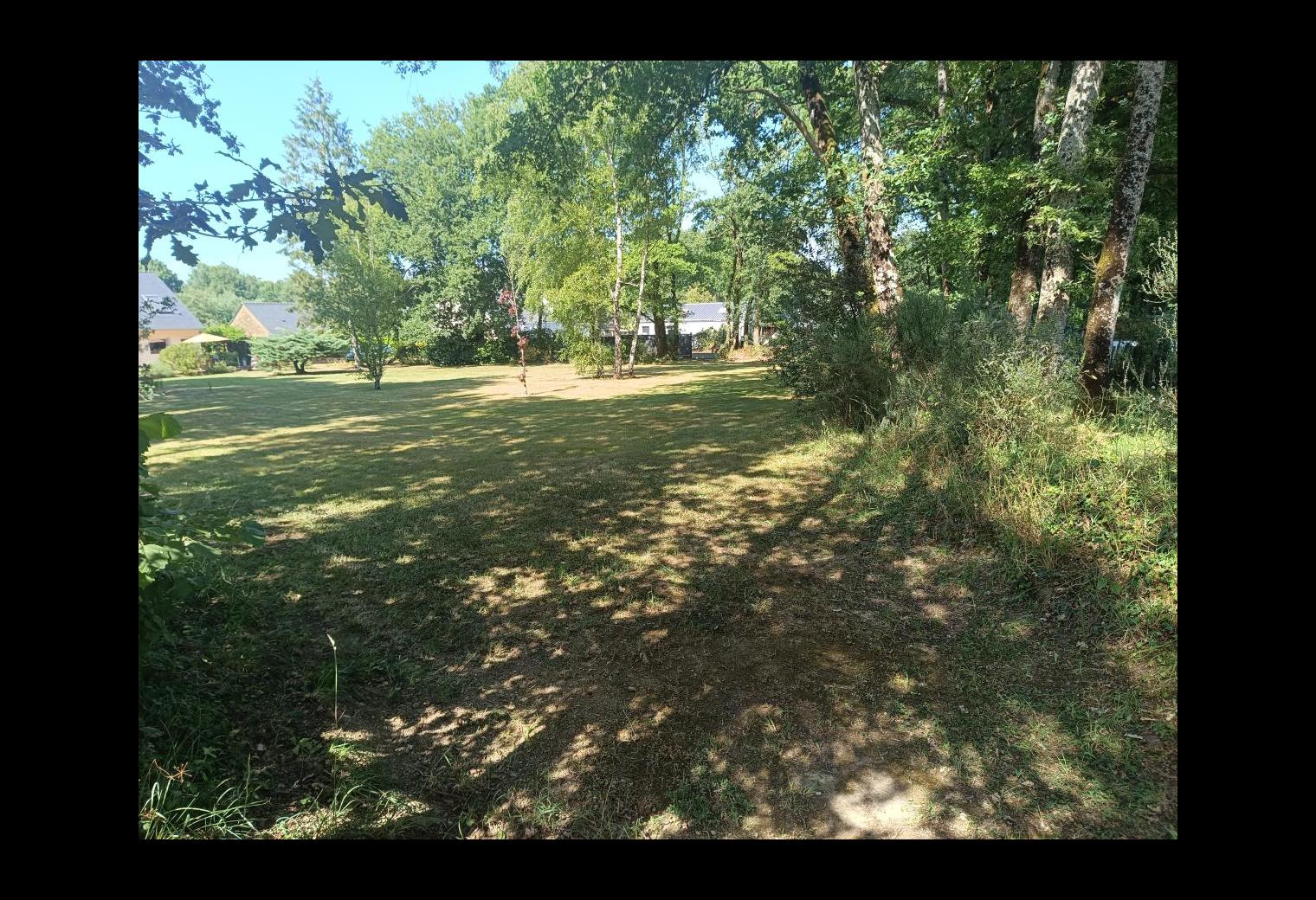 34191846-c2cd-4d05-98fc-90ec62e7c233.jpg