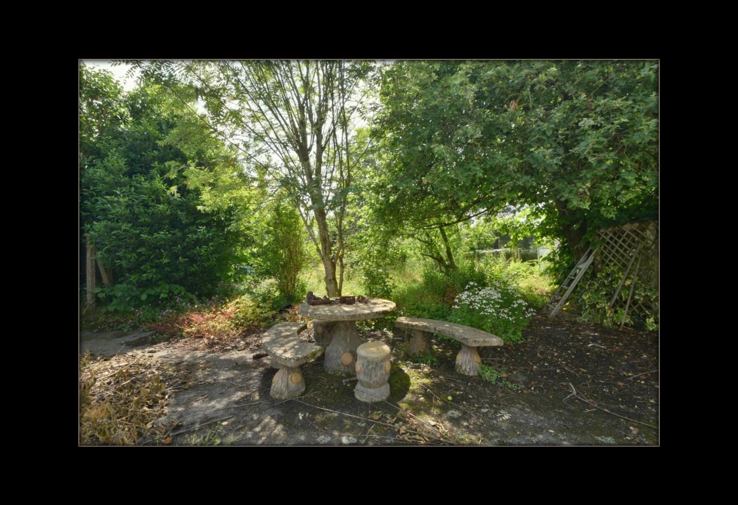 15bf1bf4-f422-41ff-8781-1df88ab0e7f7.jpg