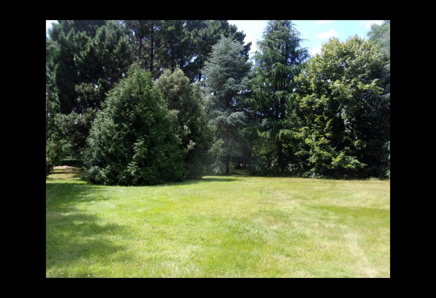 f2076127-32b0-4433-8ea2-5d4413677739.jpg
