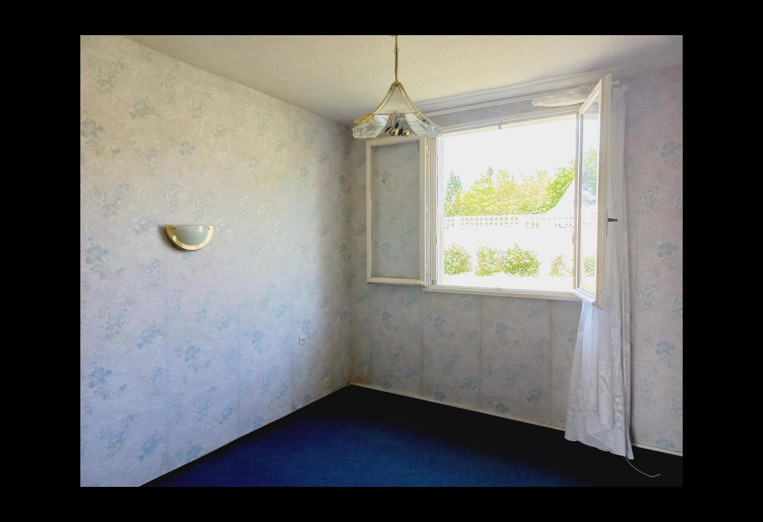 2bd53905-bdd1-4398-ad89-4ed2f09f6bcb.jpg