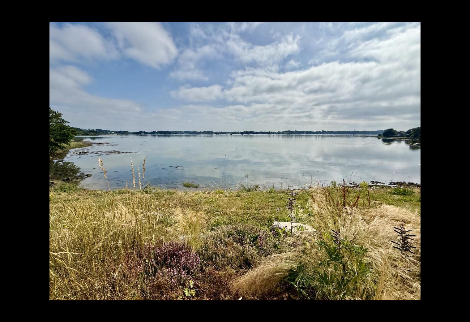 fc9e3e88-3cfa-4cda-8783-b7797de9d4d2.jpg