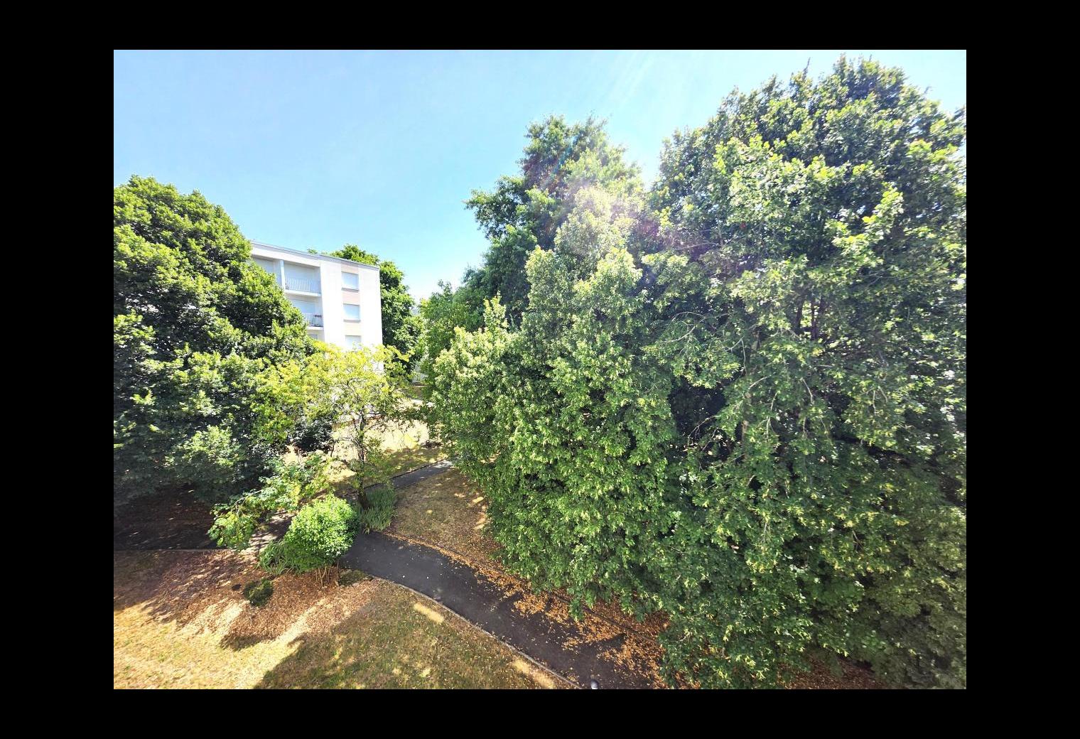 4917d363-3c70-4cfe-ae68-2455729bd9e8.jpg