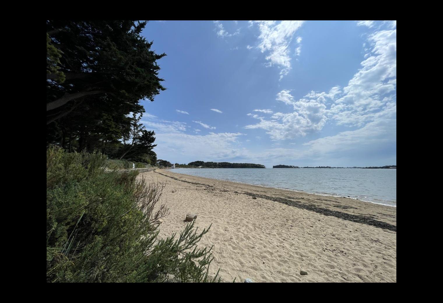 b4bb1b61-3922-4ff7-bc91-0a7bf6a1aa5d.jpg