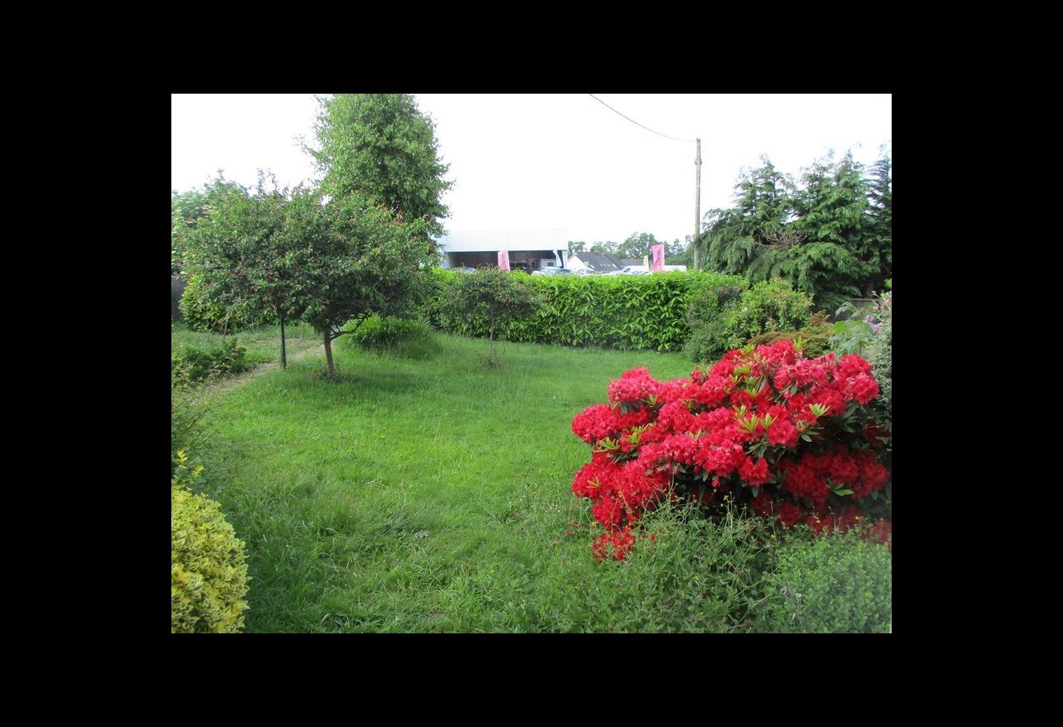 30e915c4-ee5f-48be-a9f9-a41ce8323eba.jpg