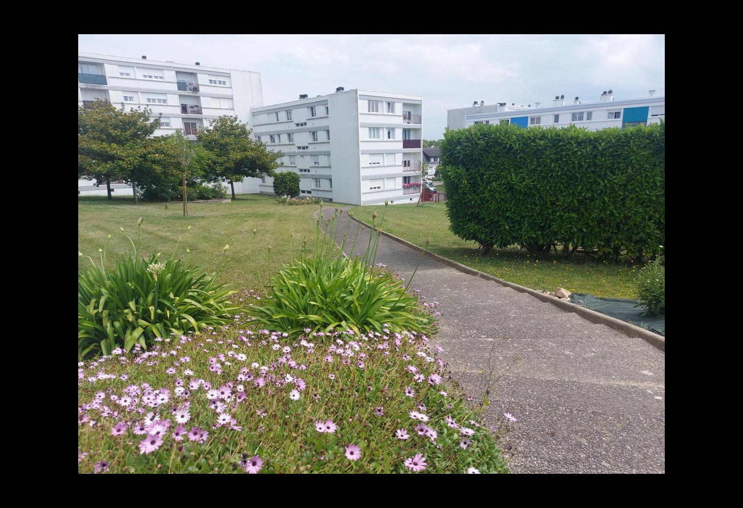 96c373d1-f2f2-4ae1-98a8-b7234ec2accf.jpg