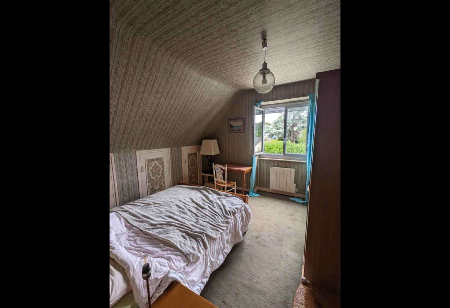 69ceca47-9bd5-459d-83ab-1747ca858ede.jpg