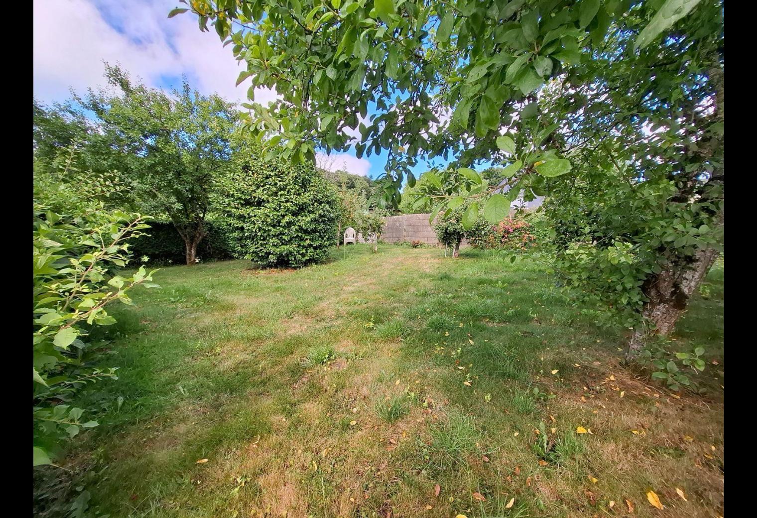 e53b800d-95ef-4bd0-aa84-2356177c983b.jpg
