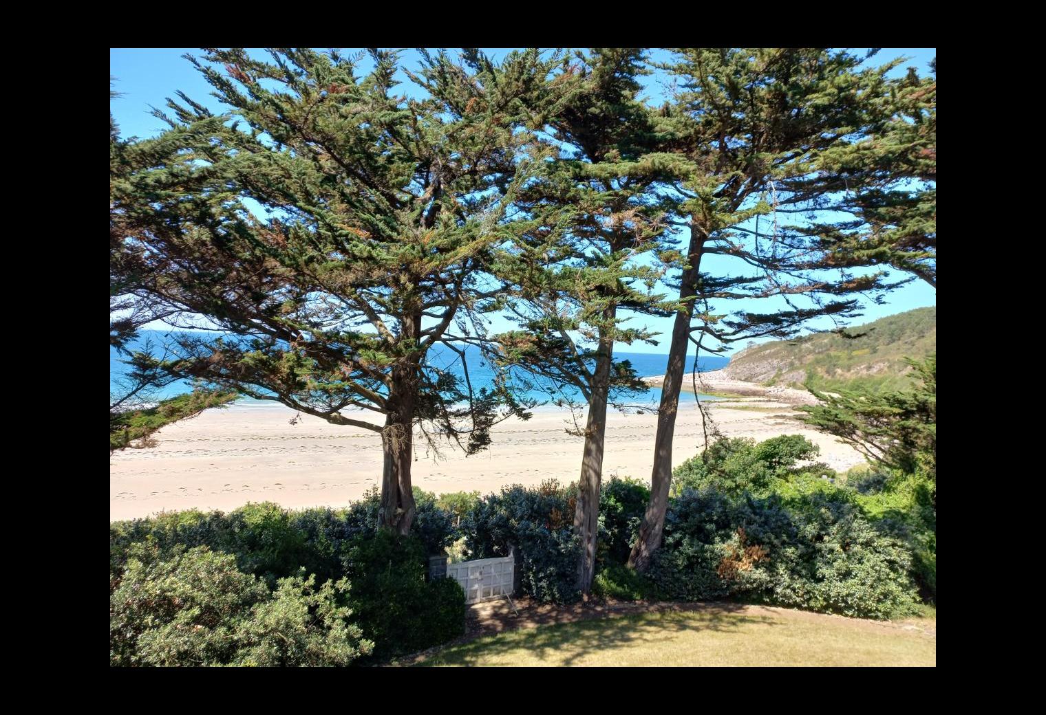 790e7b78-ed67-475d-ae5b-243c49ce0447.jpg