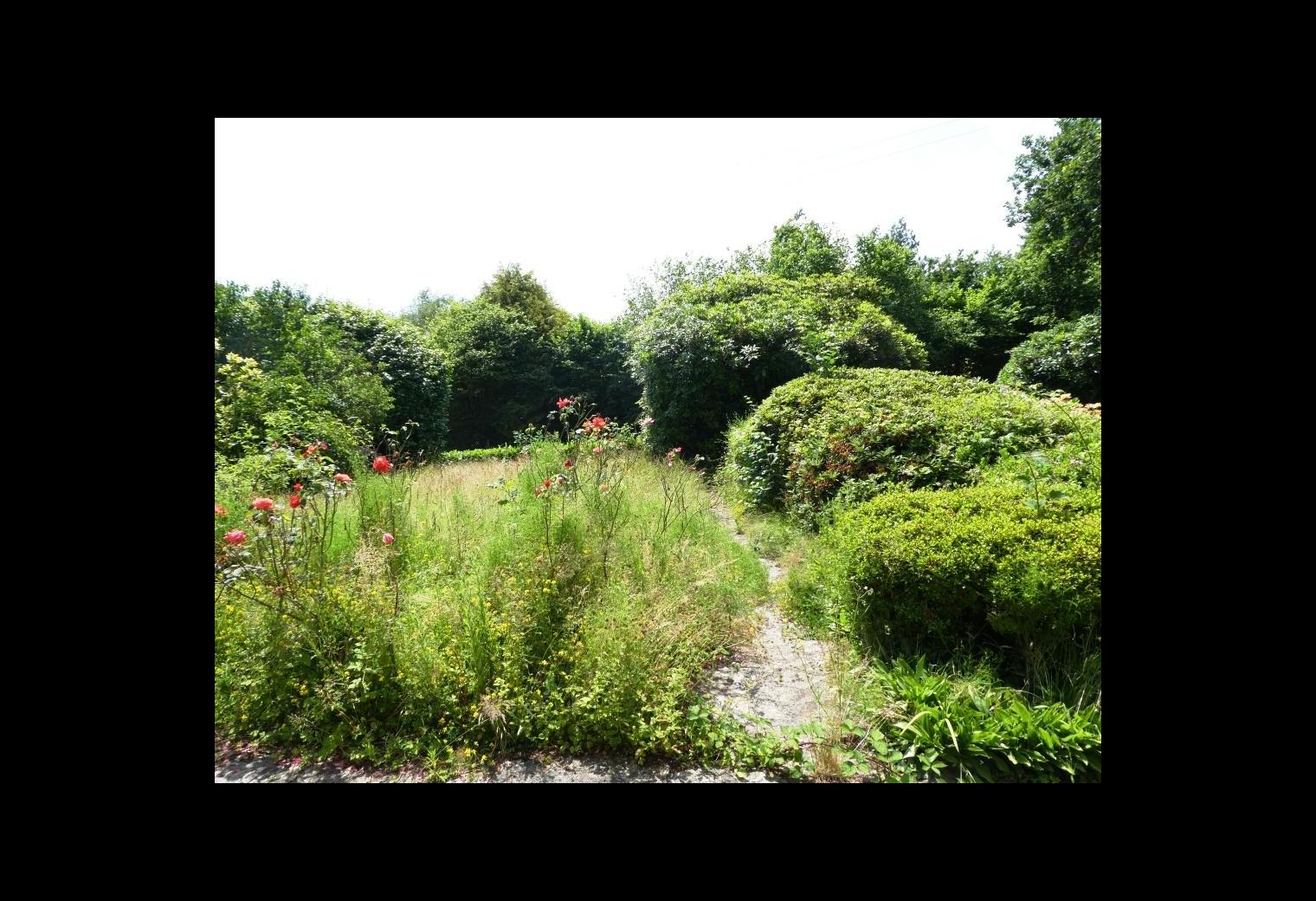 6dbca2c8-336a-4c34-9e33-b46f3900cd6d.jpg
