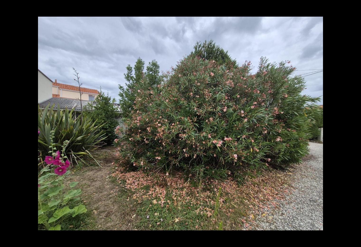 40e24ecc-580e-47ba-9342-a39e916f90e0.jpg