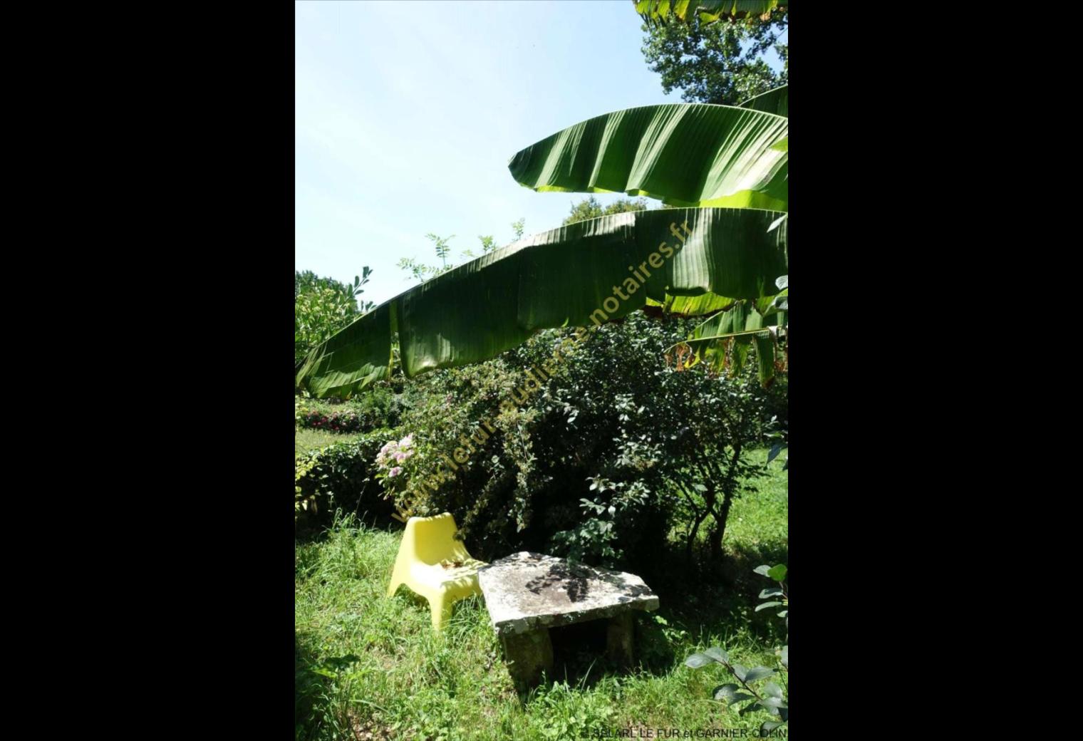 2dcb6576-dfba-4ede-b459-12fab5feaddd.jpg