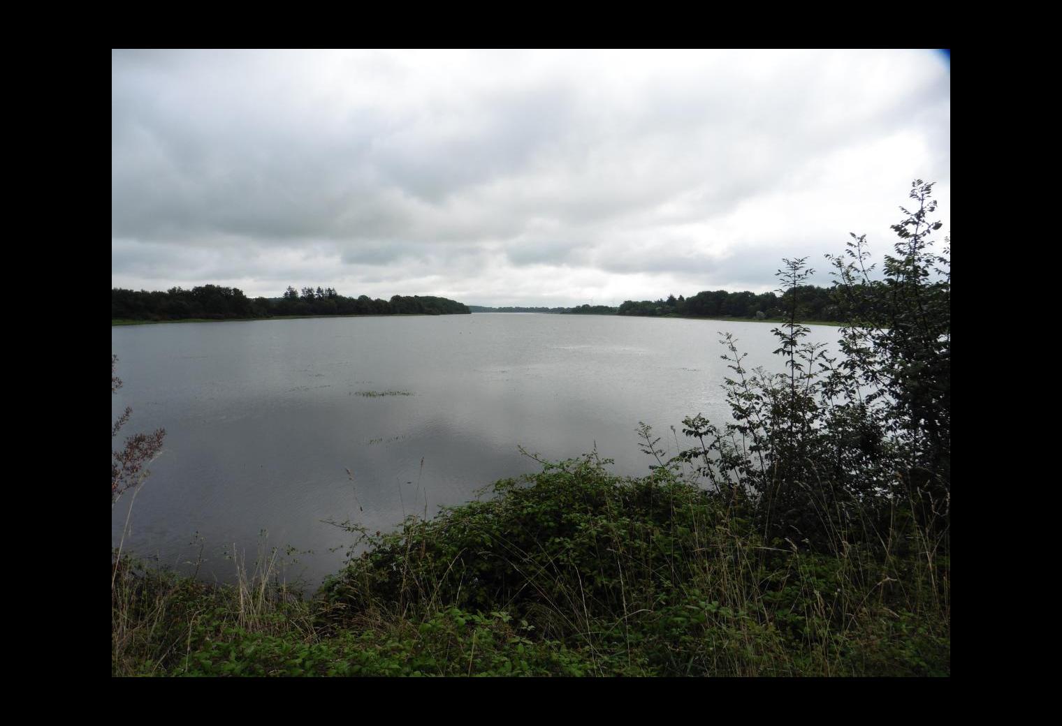 bfdc2785-fa56-4498-842c-bf3472aa5db3.jpg