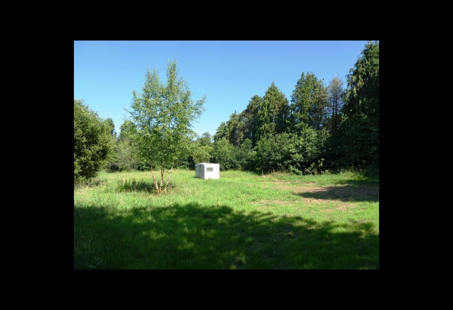 0c47d495-9dd4-4b84-94e1-deed11486116.jpg