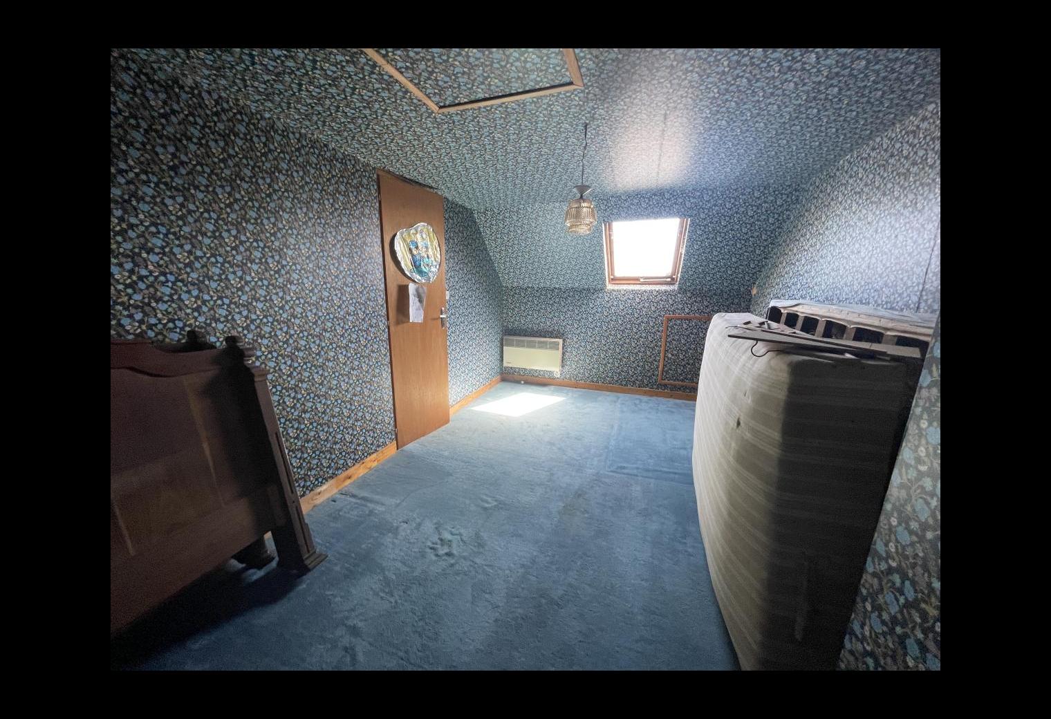 101910ad-48fc-49b1-98af-86f41ce7dca3.jpg
