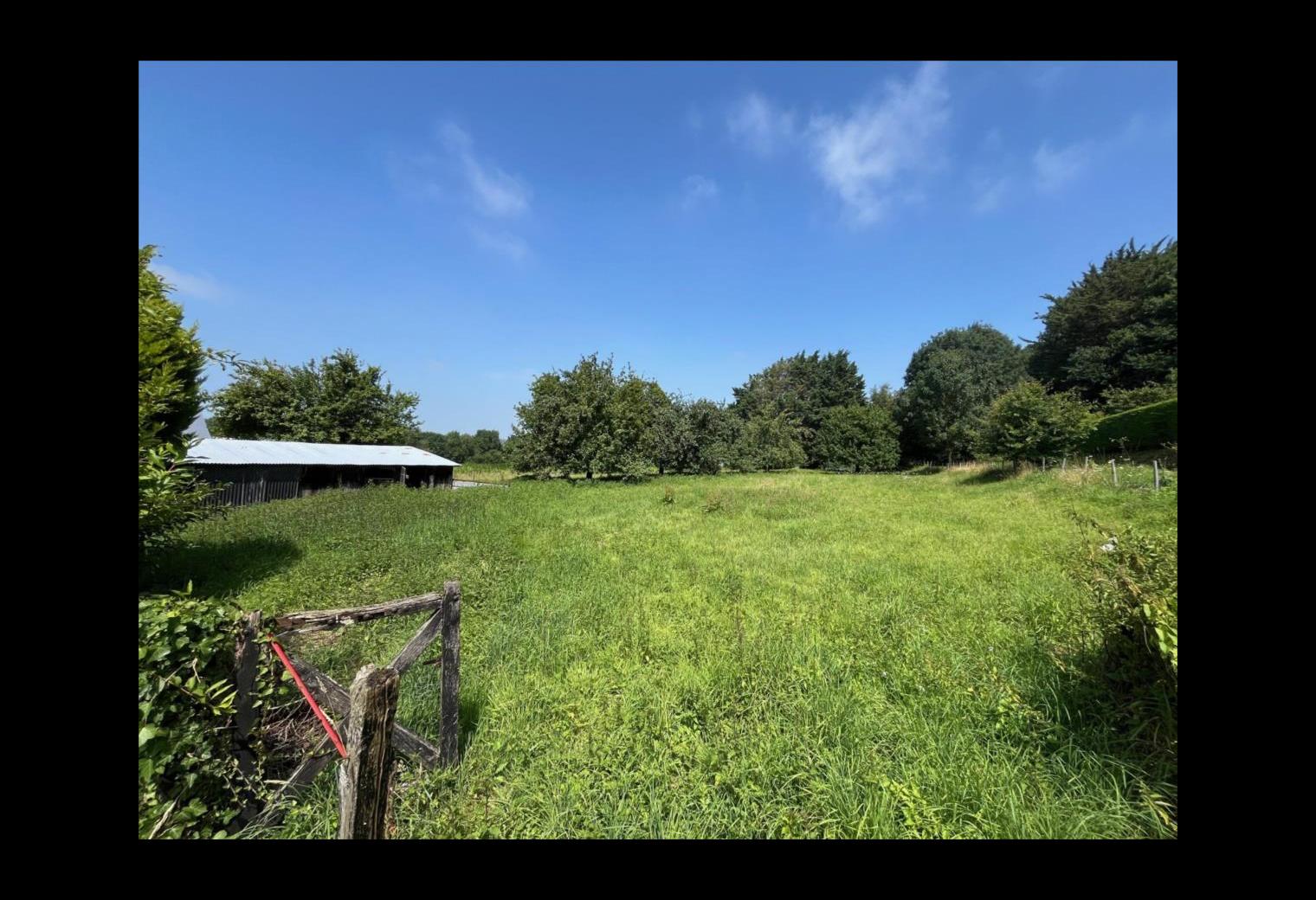 80dbfe6a-9952-415a-b8f0-fd5c1f0cd976.jpg