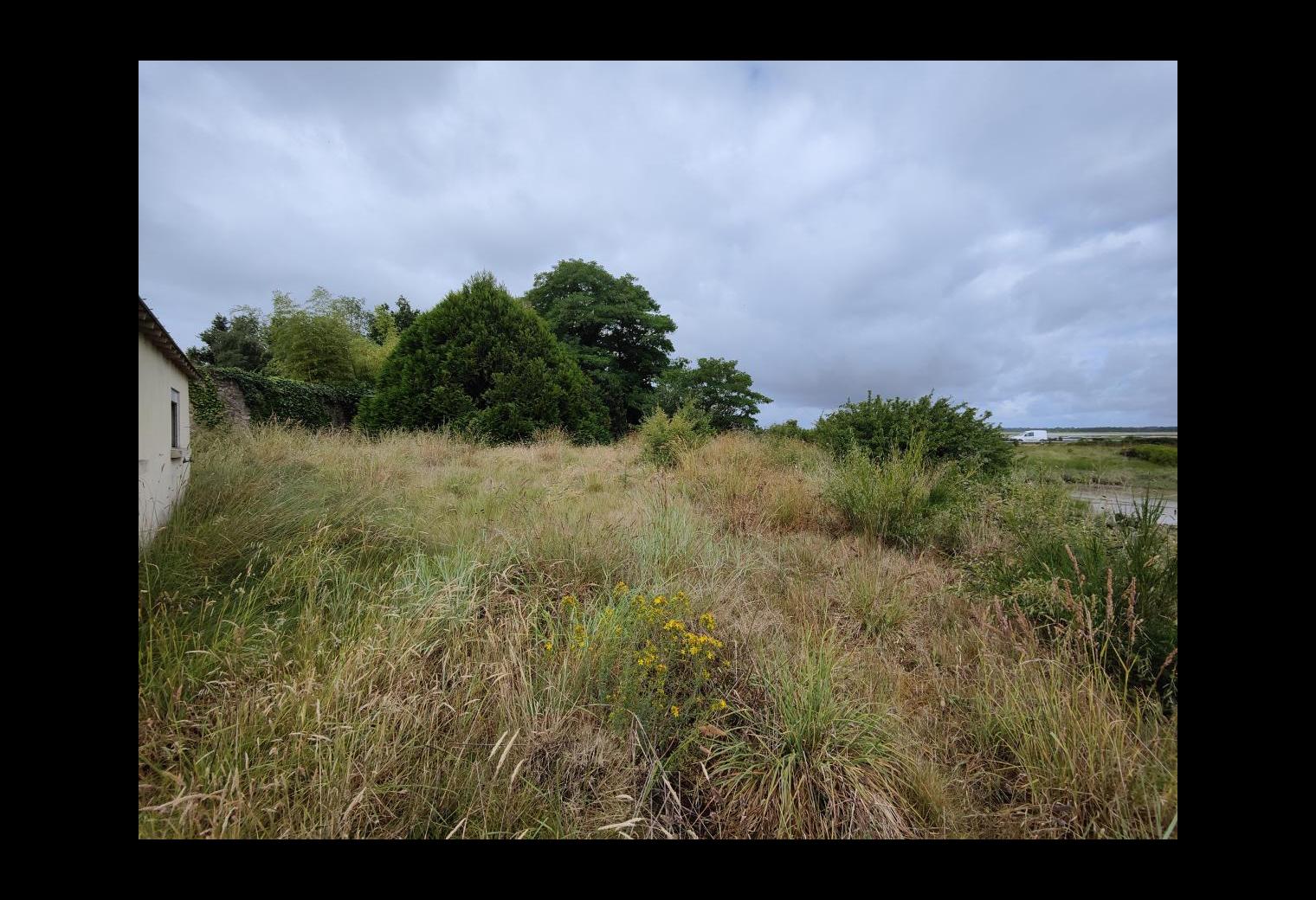 ba645182-e93e-41c1-a85b-1fd8b4dfca17.jpg