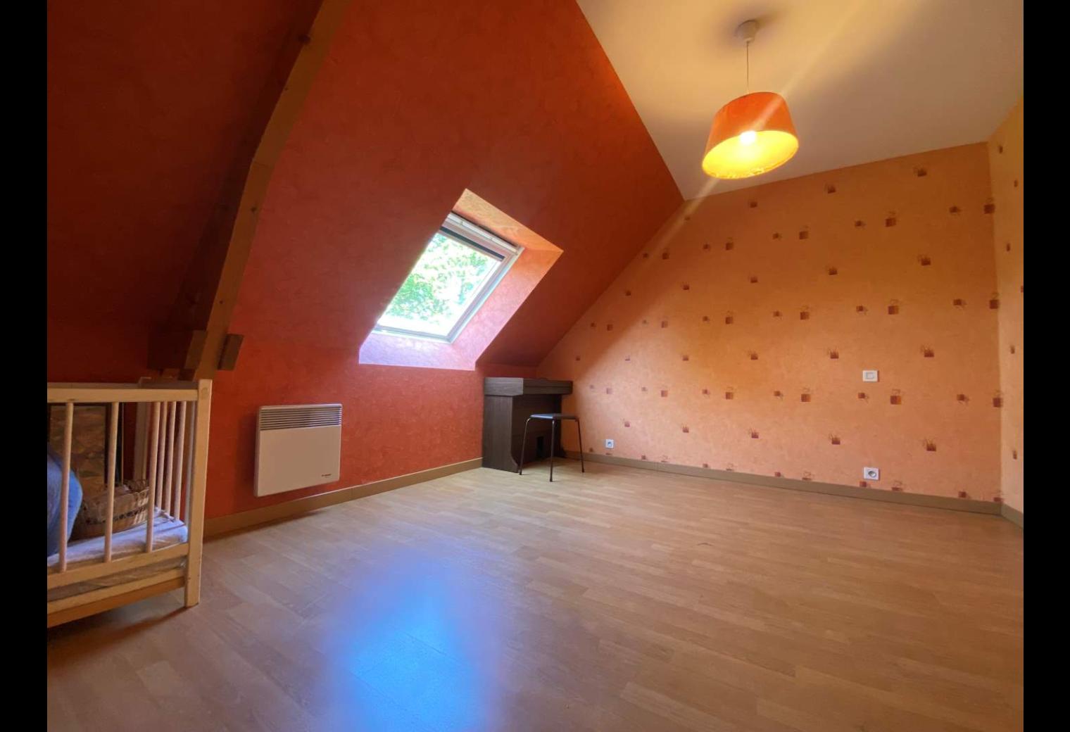 36866b71-d5bd-47ac-8728-e65d52445357.jpg