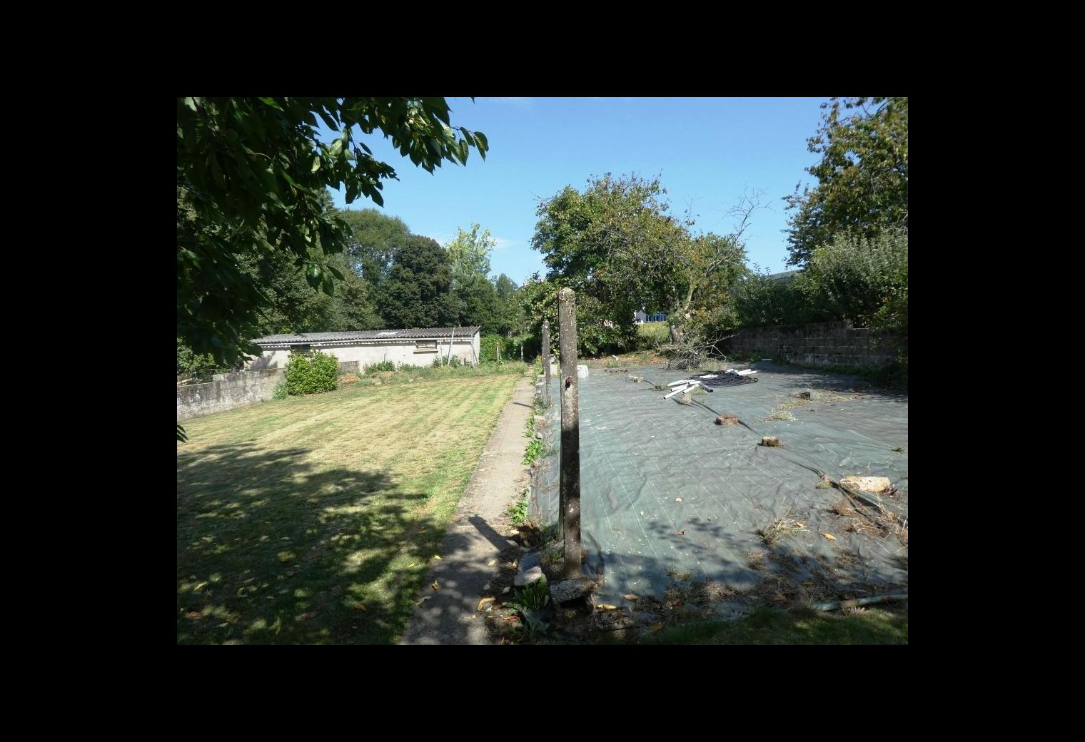 7b335aff-33f1-43e4-ba5a-4119bccc7d37.jpg