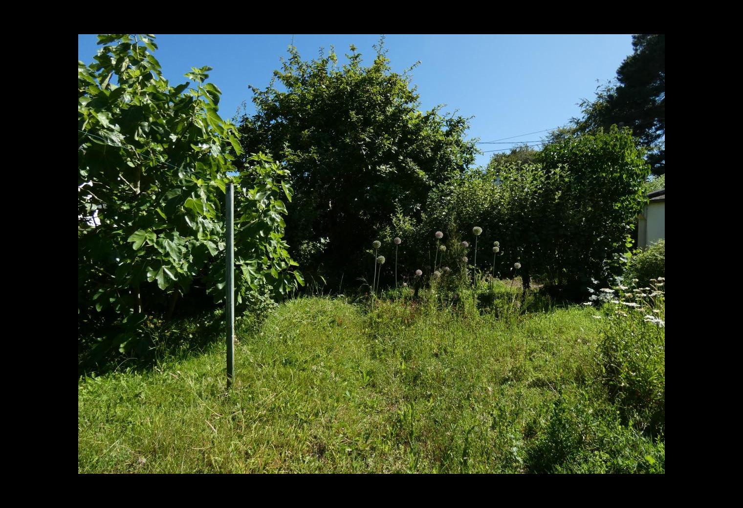 5d1931ae-b8ee-455b-bda7-0d473b3b1a7c.jpg
