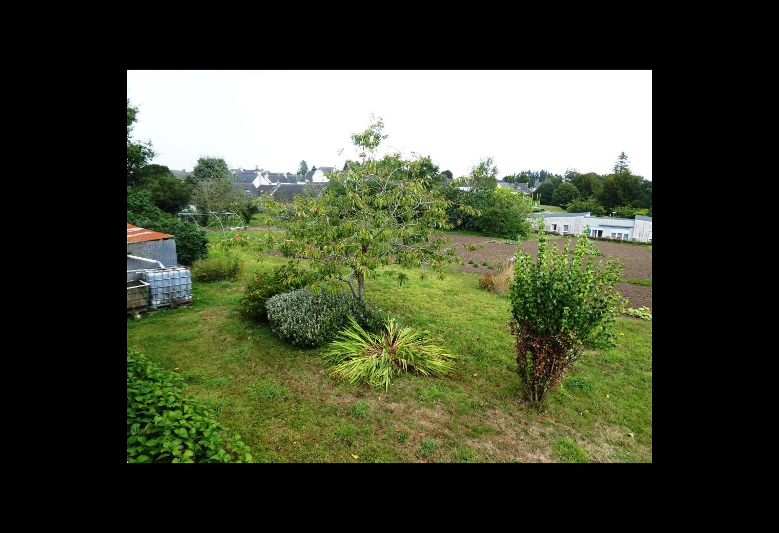 d80277cd-1074-4c07-9ad5-6ee66f4c0ed5.jpg