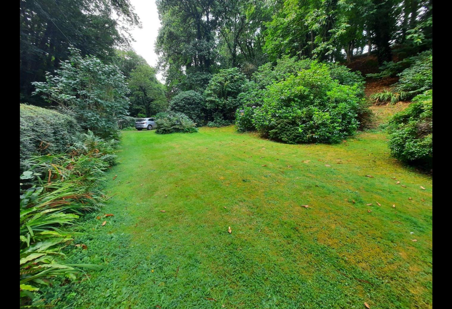 fe73d94a-d993-4dfb-b4e0-450cad26eda2.jpg
