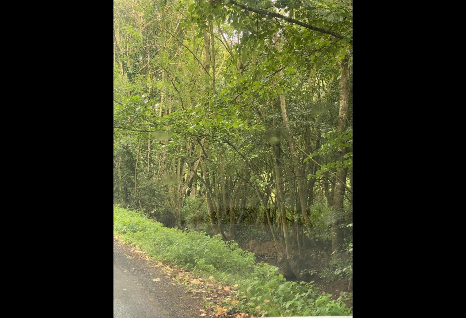 df744265-d649-4f66-8b2e-b53bf9e040e4.jpg