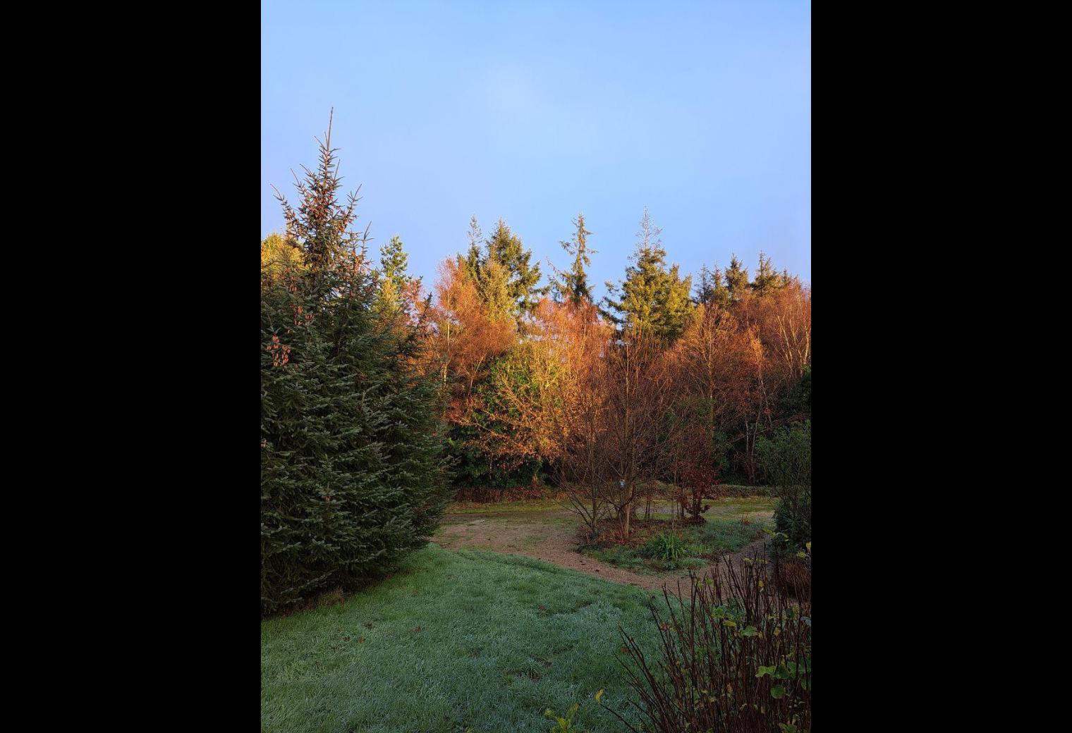43478b41-4b68-4de0-ad28-d0ceaad5f905.jpg