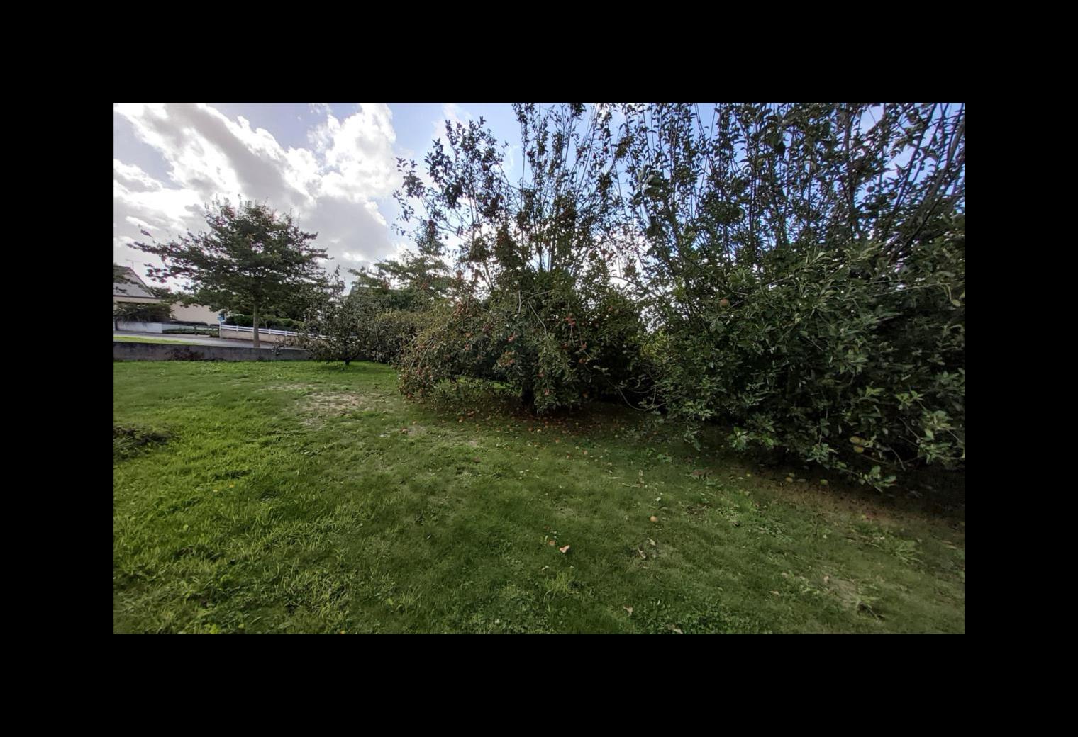 c23f2ed3-af3d-433d-a578-6ce17f2cd09e.jpg