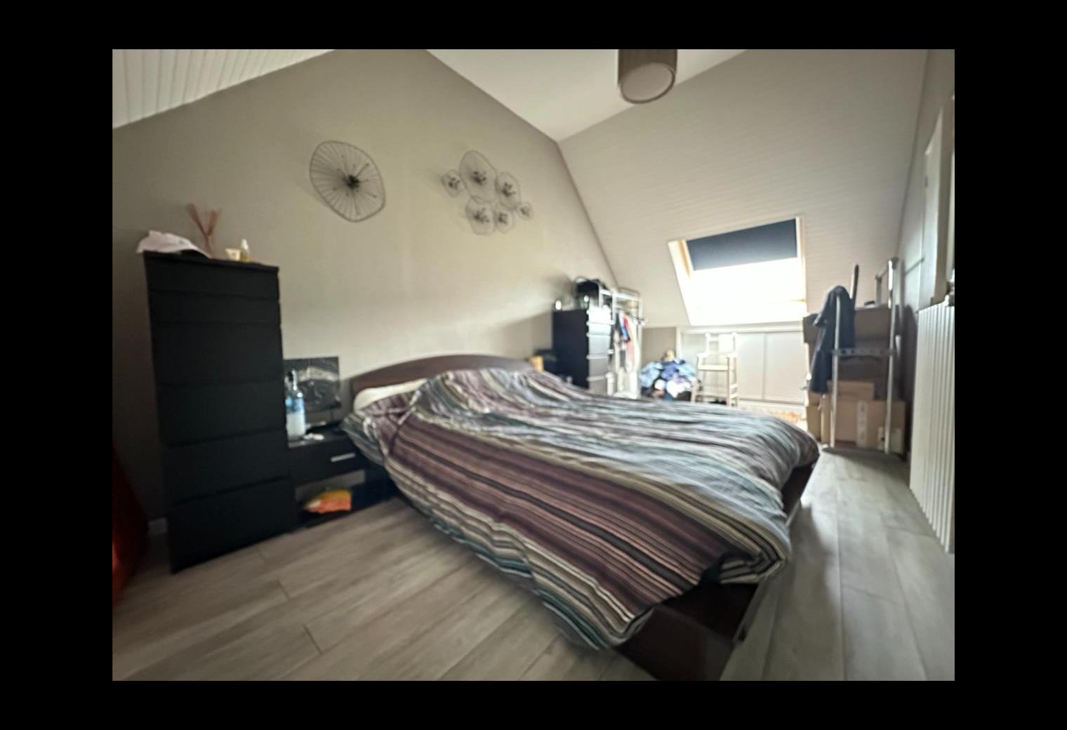 f9eea1f8-fa0d-4508-9b9e-53dd801ab3a4.jpg
