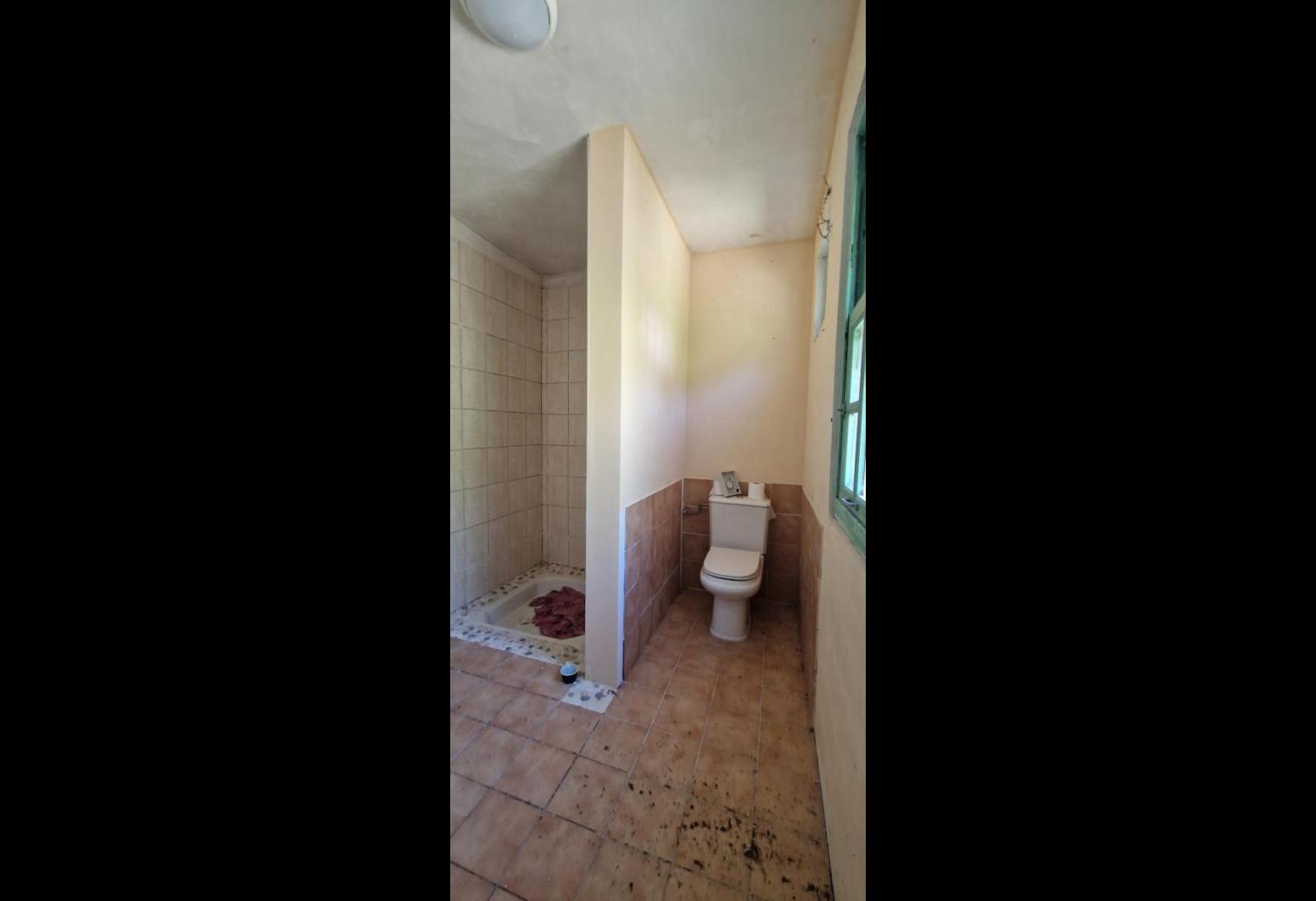 41a8dd91-7acb-4ced-897c-d4c74583d8bd.jpg