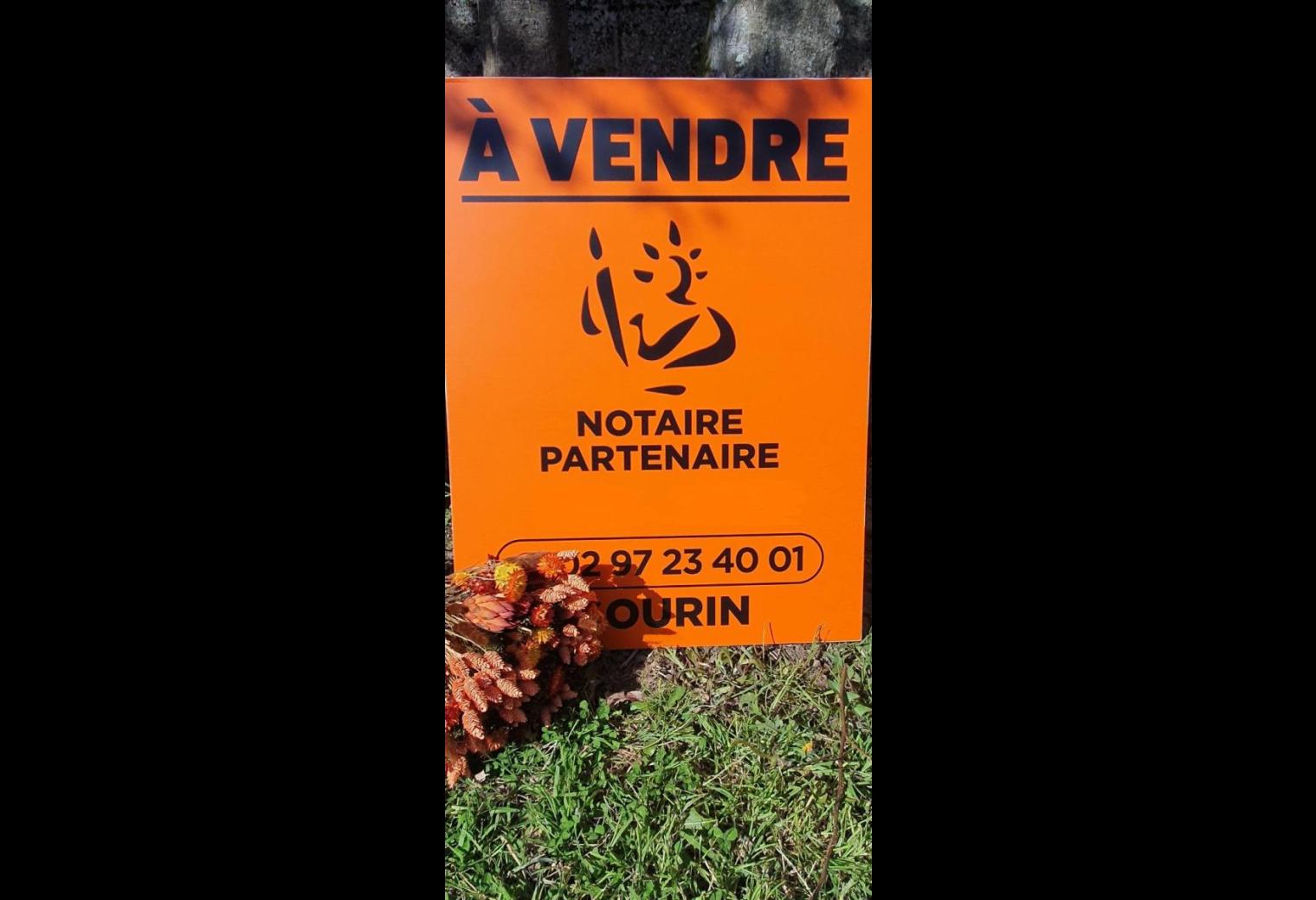 29c09de9-4f8d-4a44-b837-088889f52de2.jpg