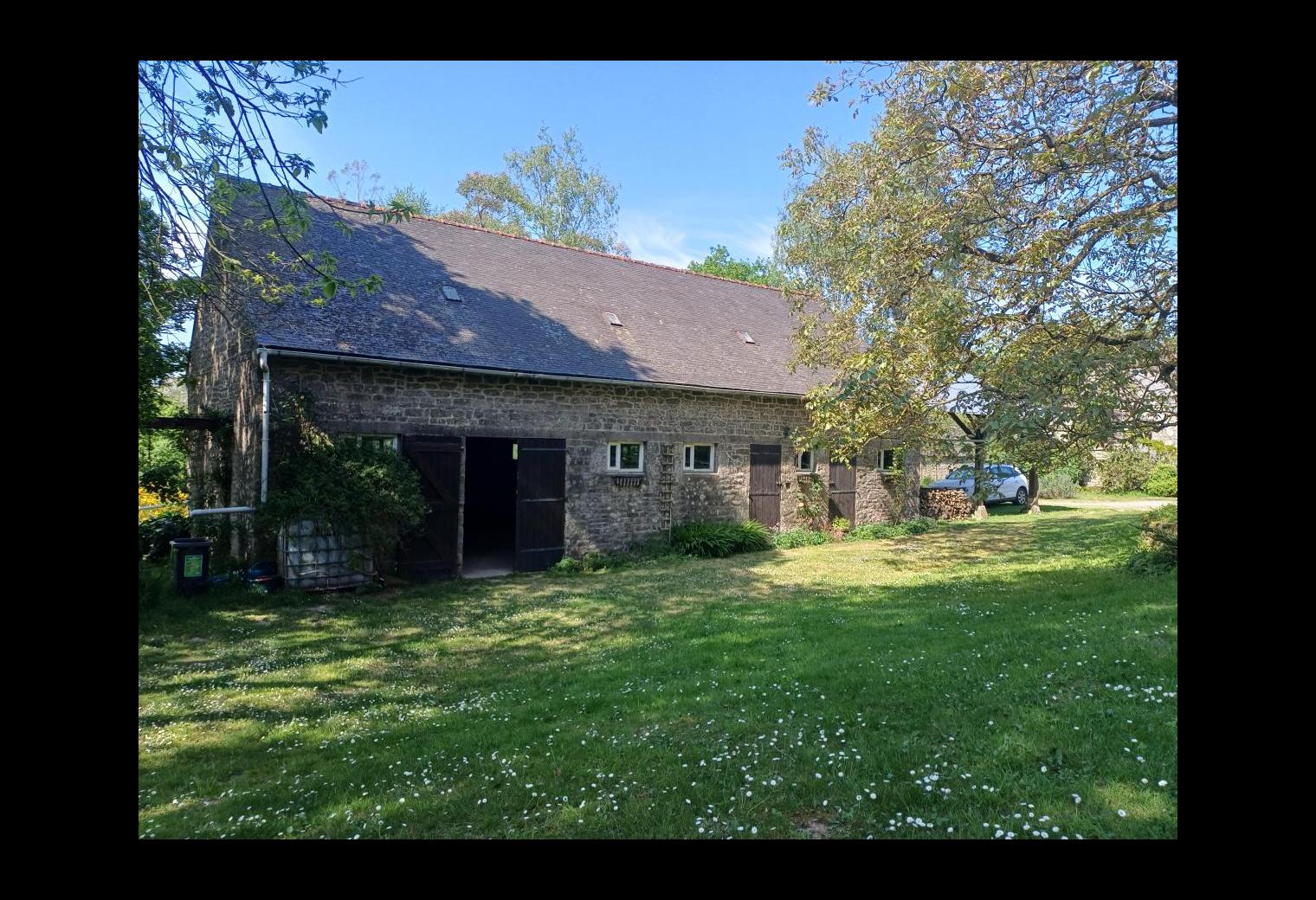 900ce4bd-e7cc-4c8d-a813-98e0bfdbefb9.jpg
