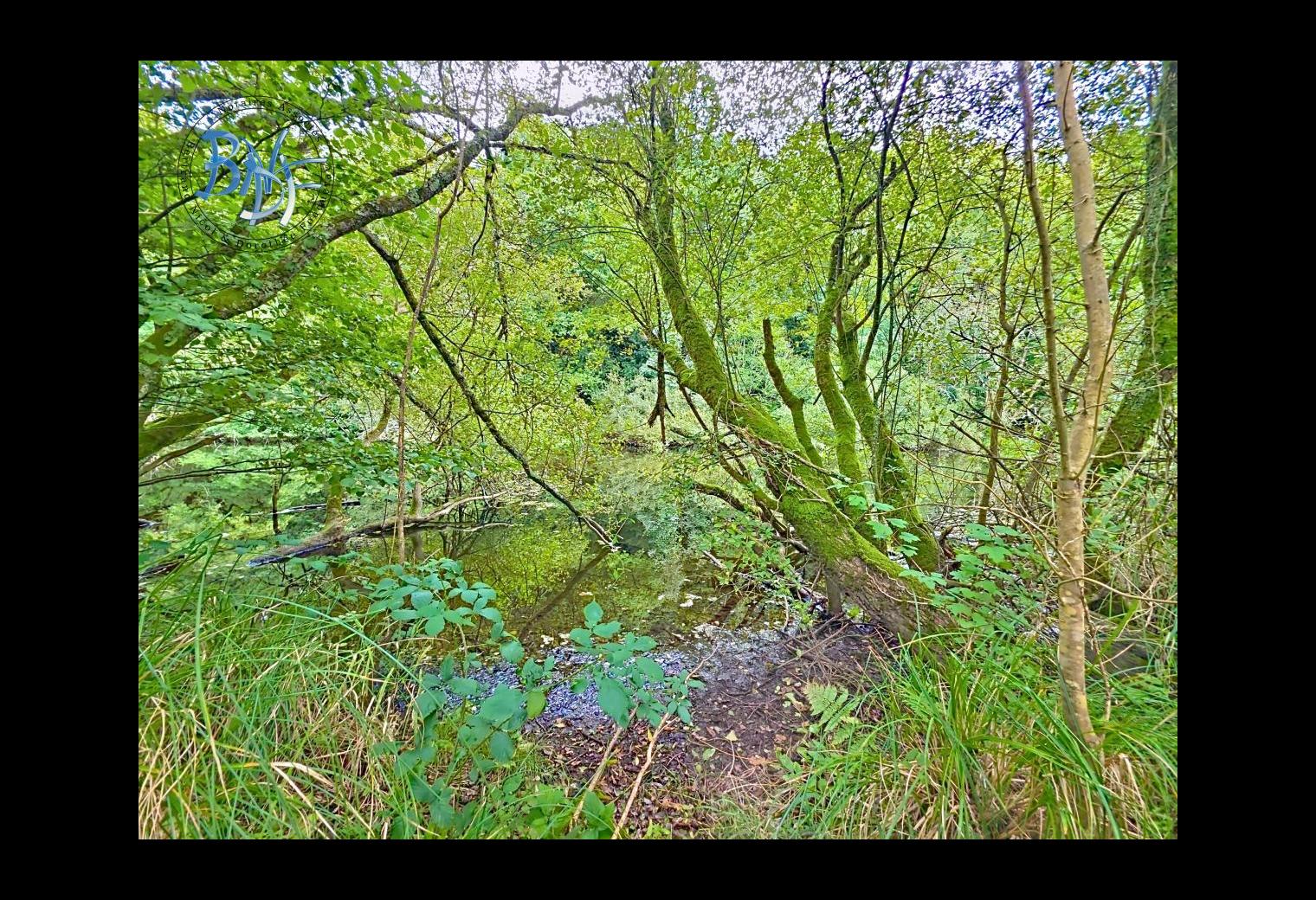 e005564c-9896-4514-9552-e469efb0b11c.jpg