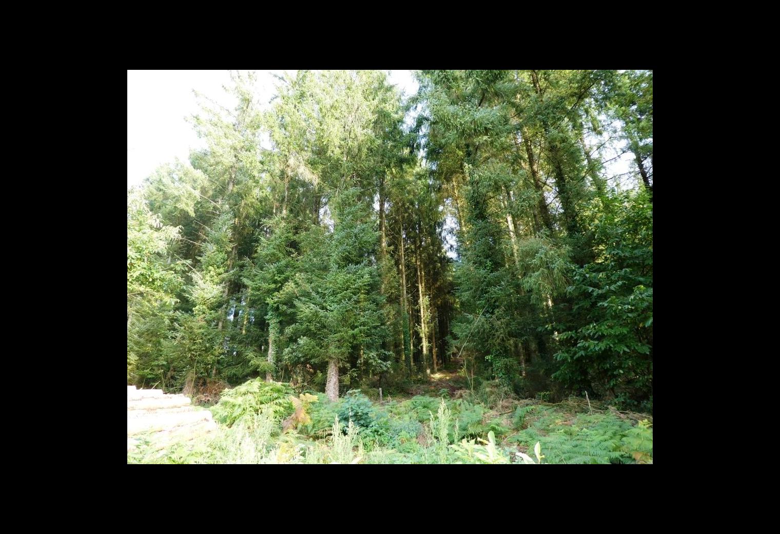 e442226b-231e-4058-9242-e0ce434d8972.jpg