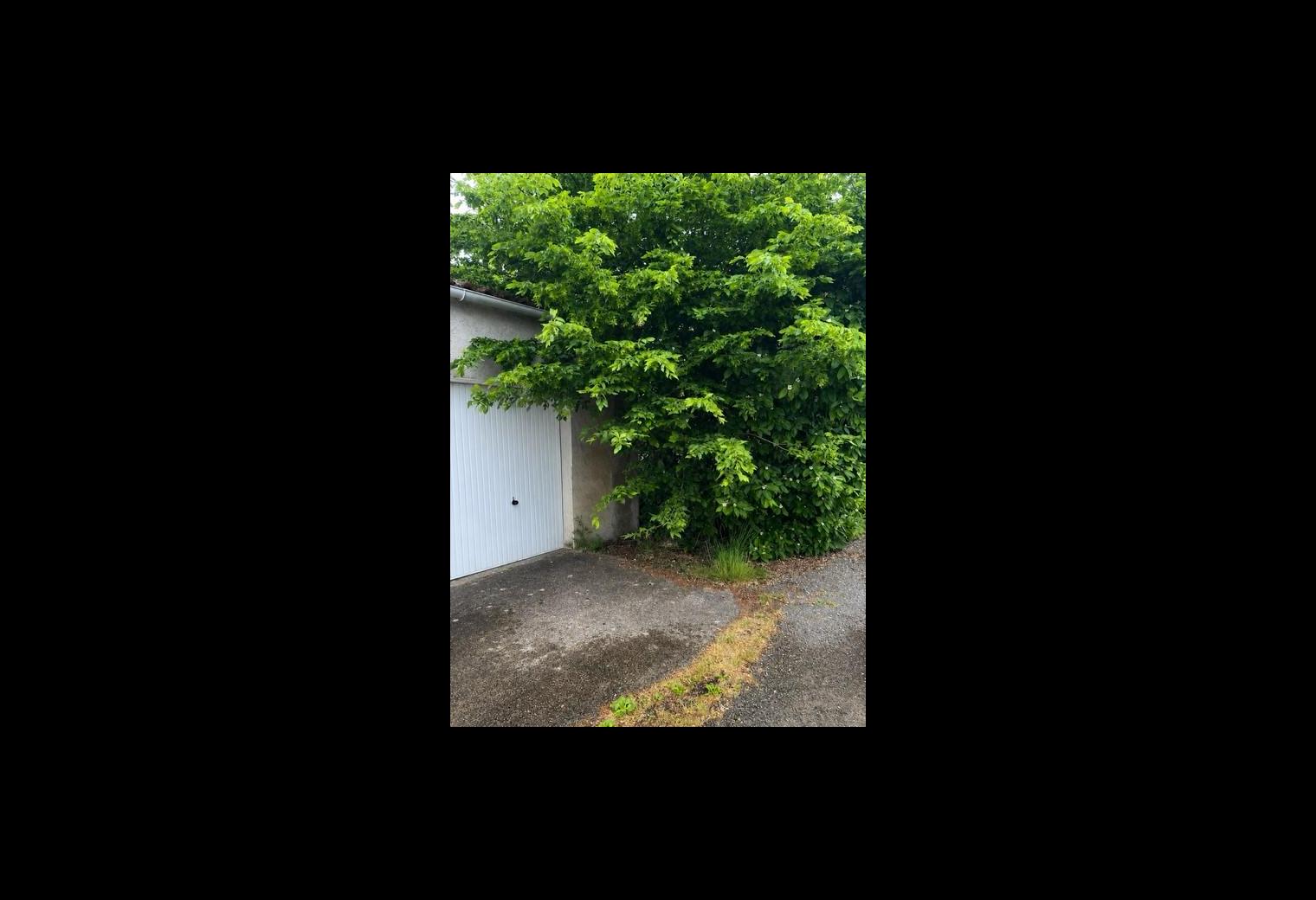 c33982ed-2146-4417-bbab-11661d2eeff0.jpg