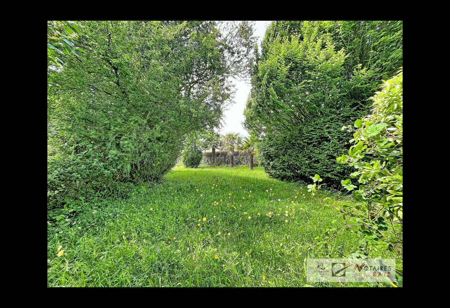 2ec9f7c2-0942-44cc-8ad9-dfa77a1f0146.jpg