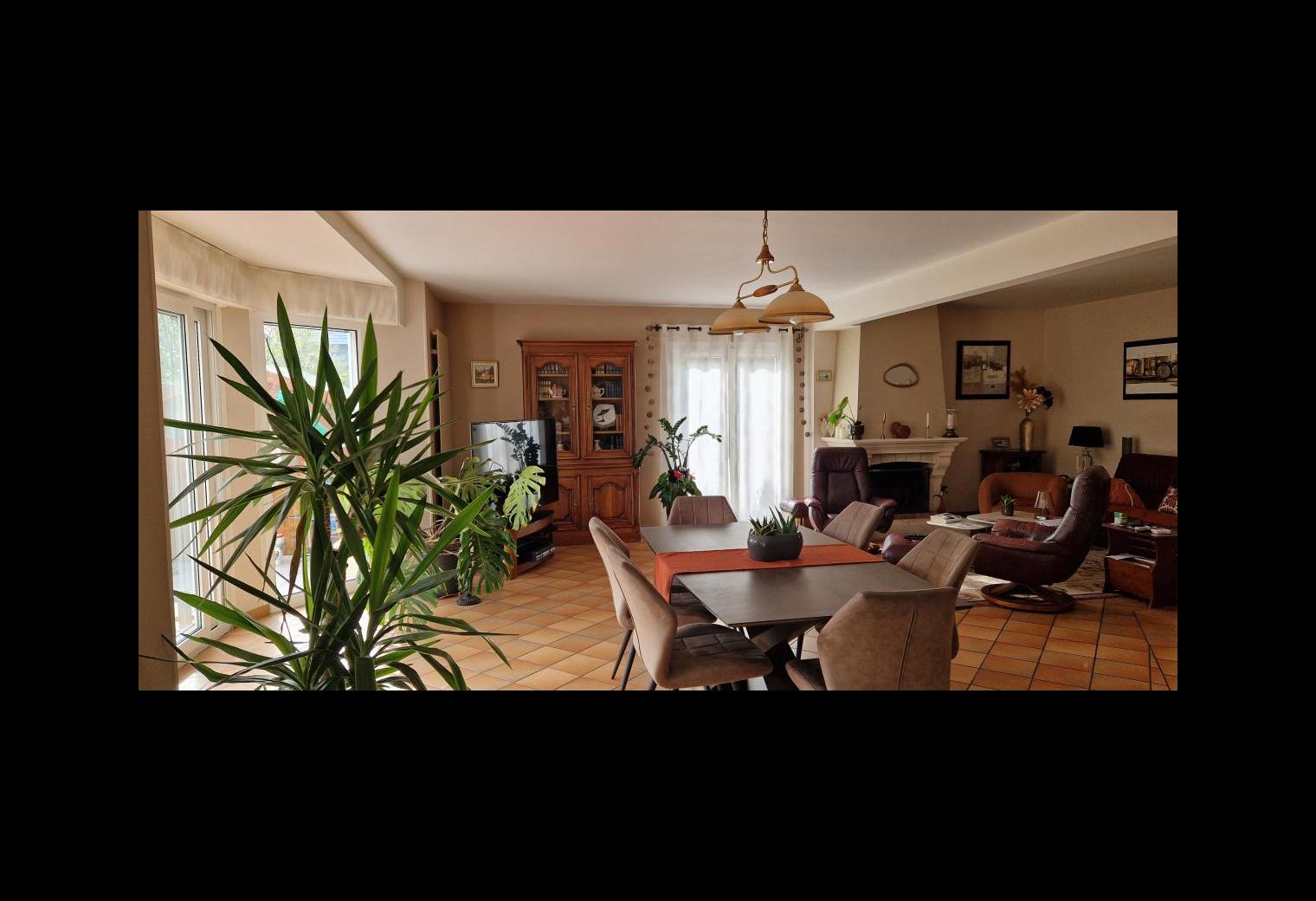 d6ef5f4d-0545-4fa3-aec4-4fade9cf47ed.jpg