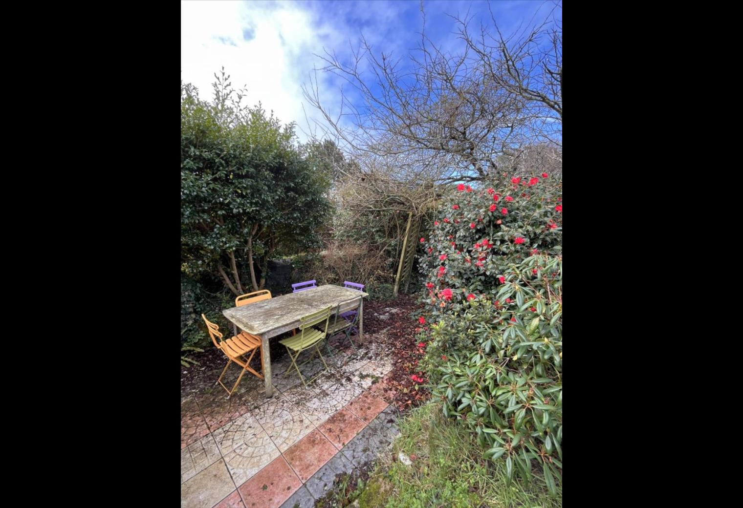 4a335dd9-2d3d-494b-8558-fa4ef5b0e1f2.jpg