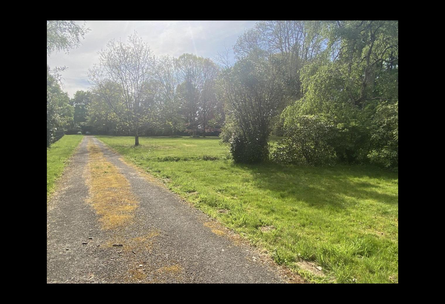 fecbf4cb-e886-4a8e-b935-c7bf0ce69417.jpg
