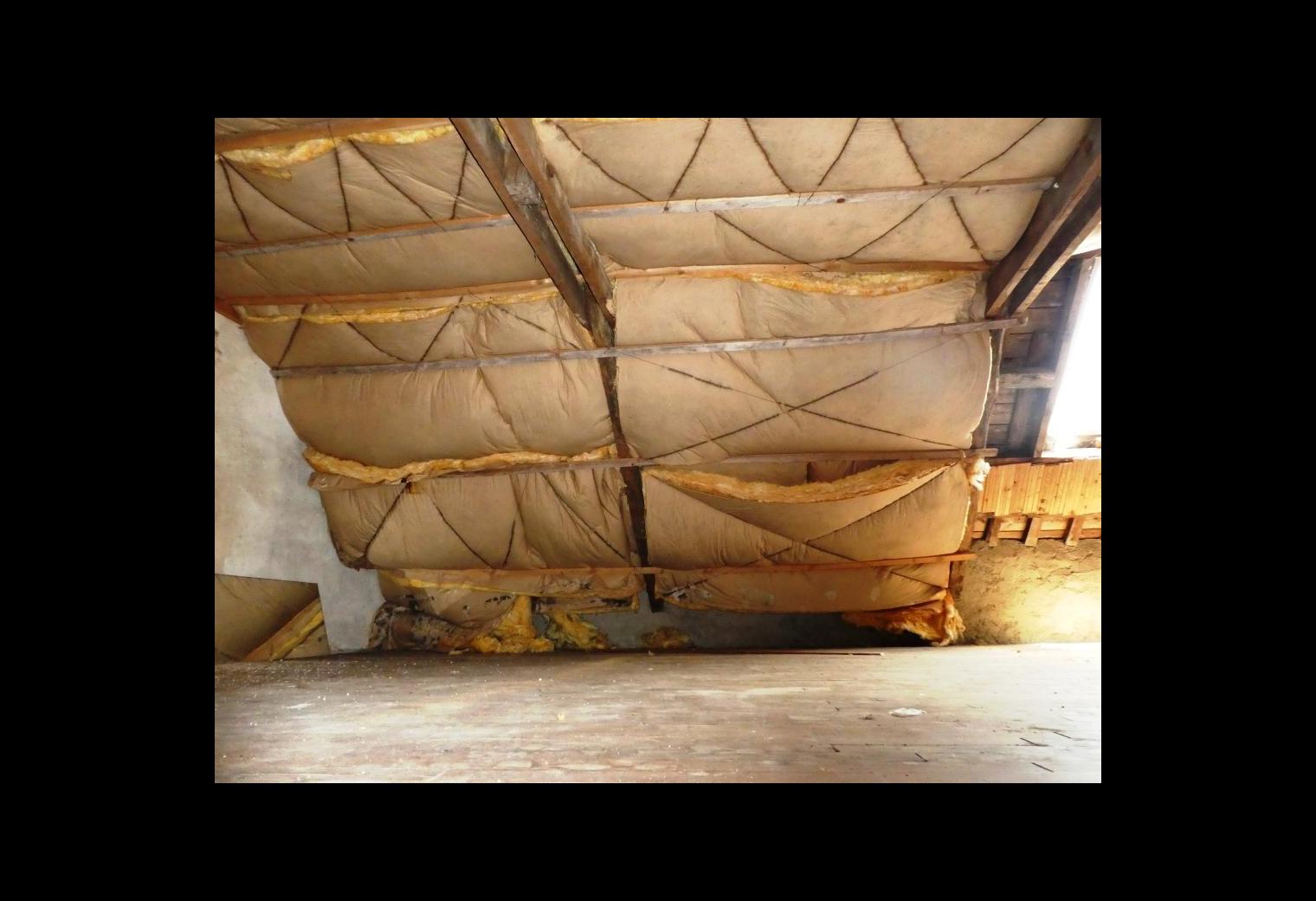 ccf903e8-13f4-493a-bee6-51a1f86fbb55.jpg