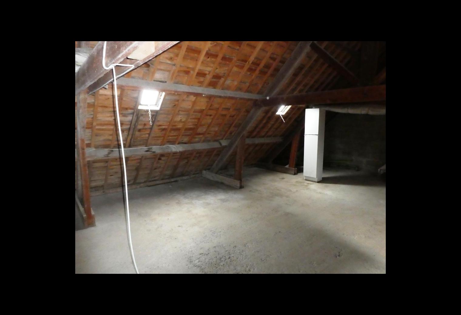24bf65d0-69b1-4412-9599-8c697de30c74.jpg