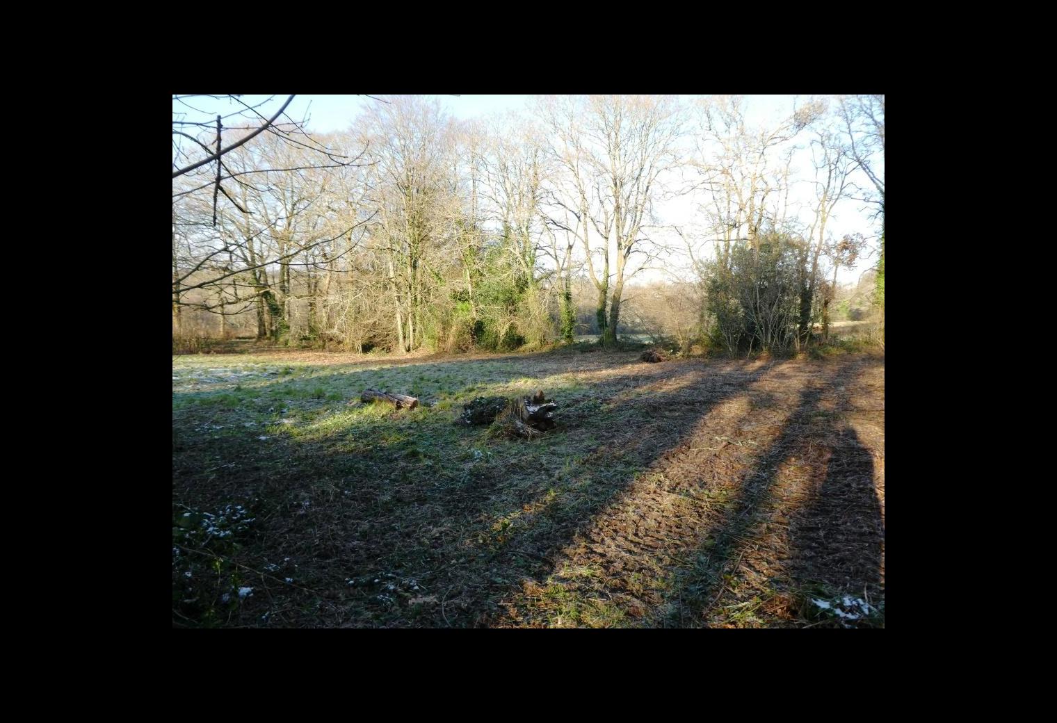 20aaa0f4-50f3-4242-98cc-43454d9ce047.jpg