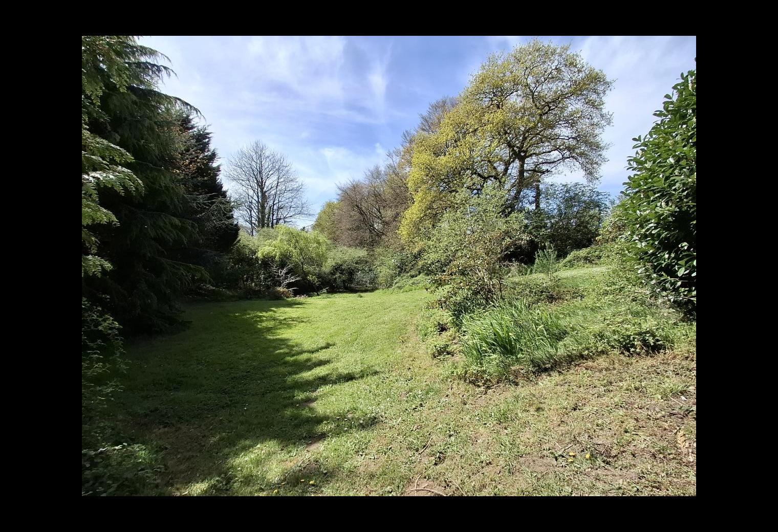 574366e0-31af-404e-a183-c5523c140a08.jpg