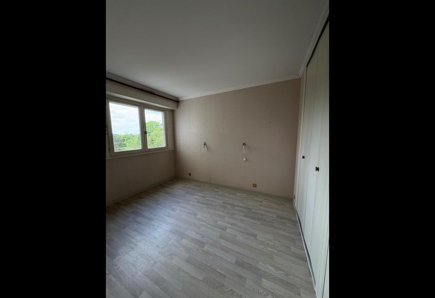 2ede71cd-ea30-4c20-8b9c-46596ed48ffb.jpg