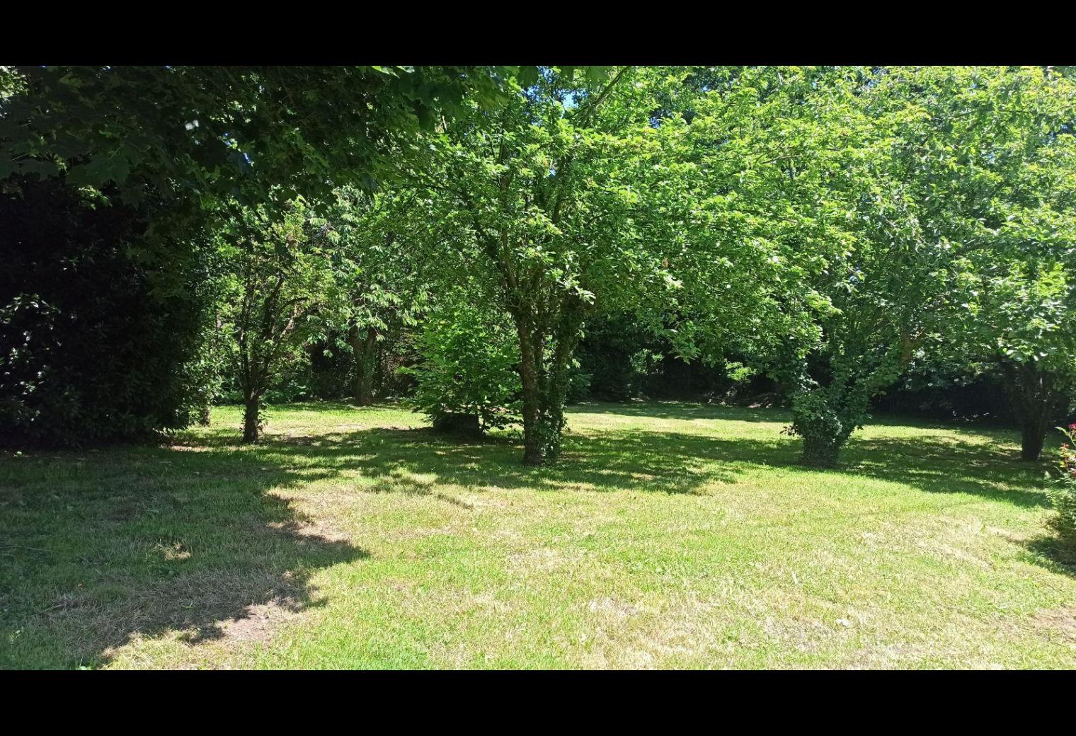 bcc352d9-b069-45c2-a5d2-04fd316c1ee8.jpg
