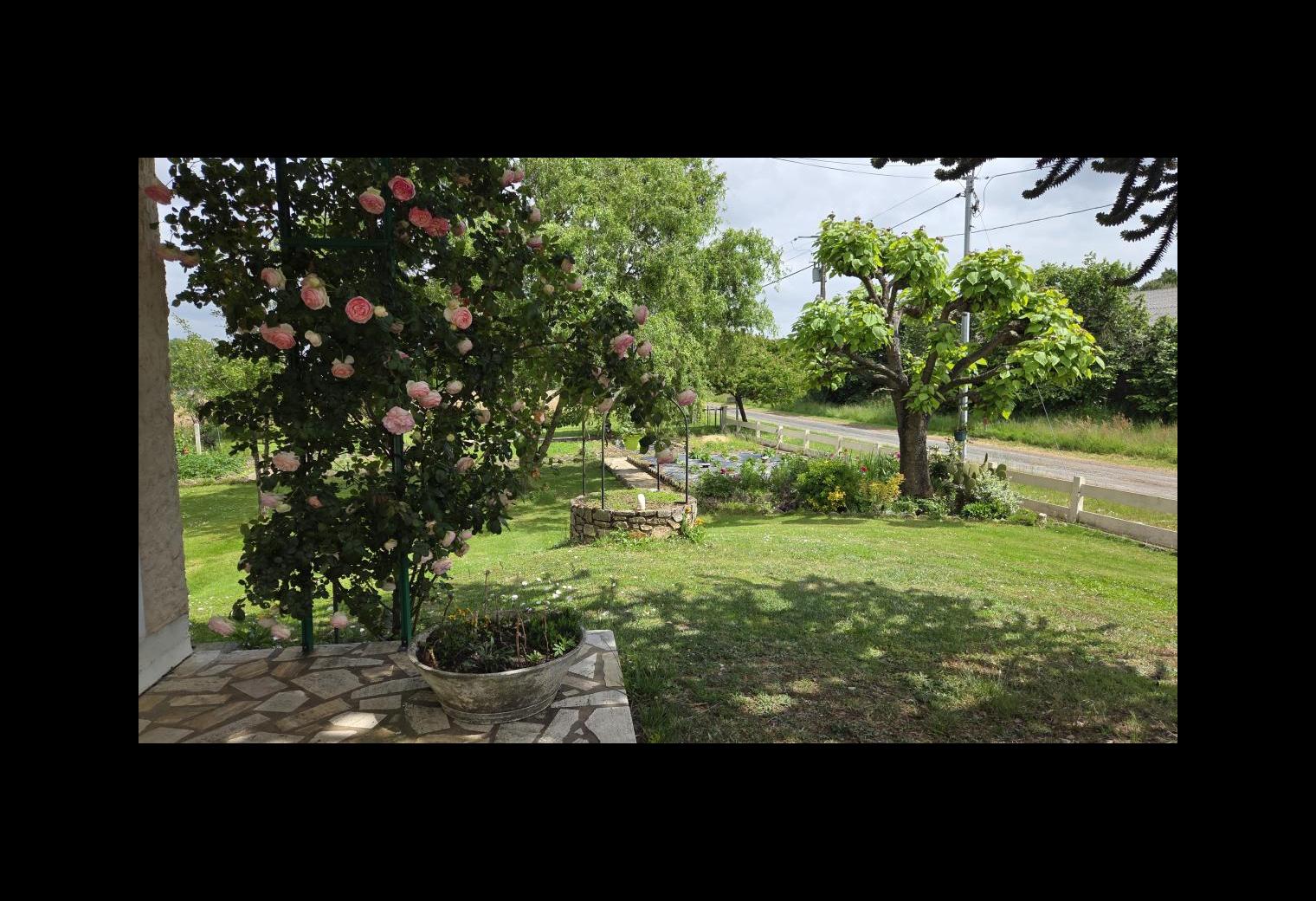 50bb03ba-3fd2-4c7c-912a-355686d7cad3.jpg